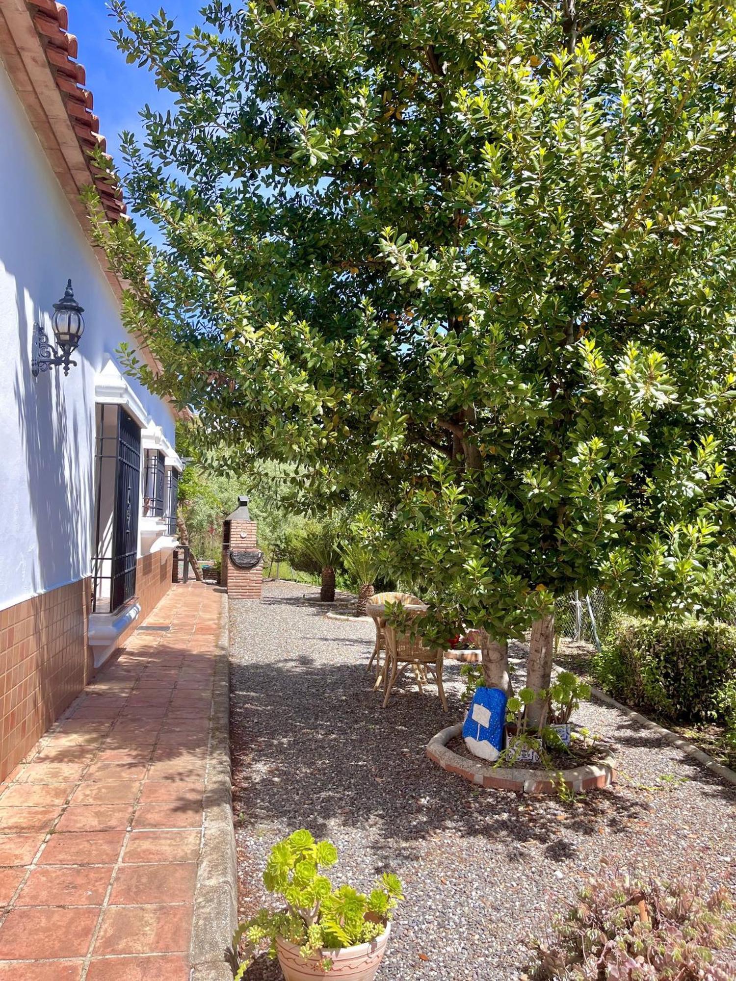 Finca Rural Mazuqueto Jubrique Exterior photo